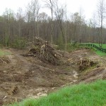 Clearing the site